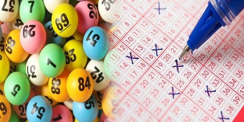 Bạch Thủ Lô Khung 1 Ngày lodetips – Cách Nuôi Hiệu Quả 2025